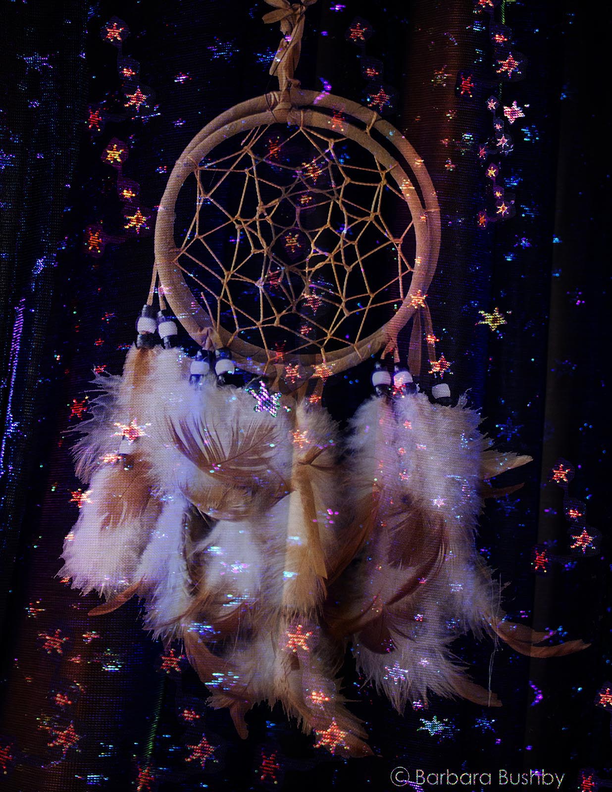 Ojibwe Dreamcatcher