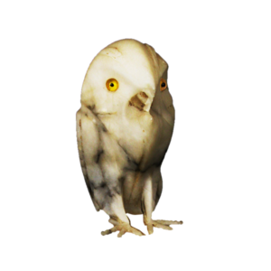 Arctic Owl