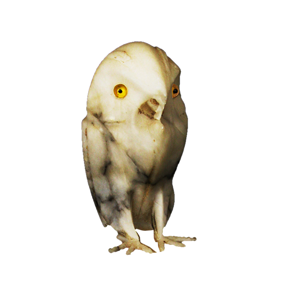 Arctic Owl